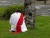Jesus praying in garden of Gethsemane